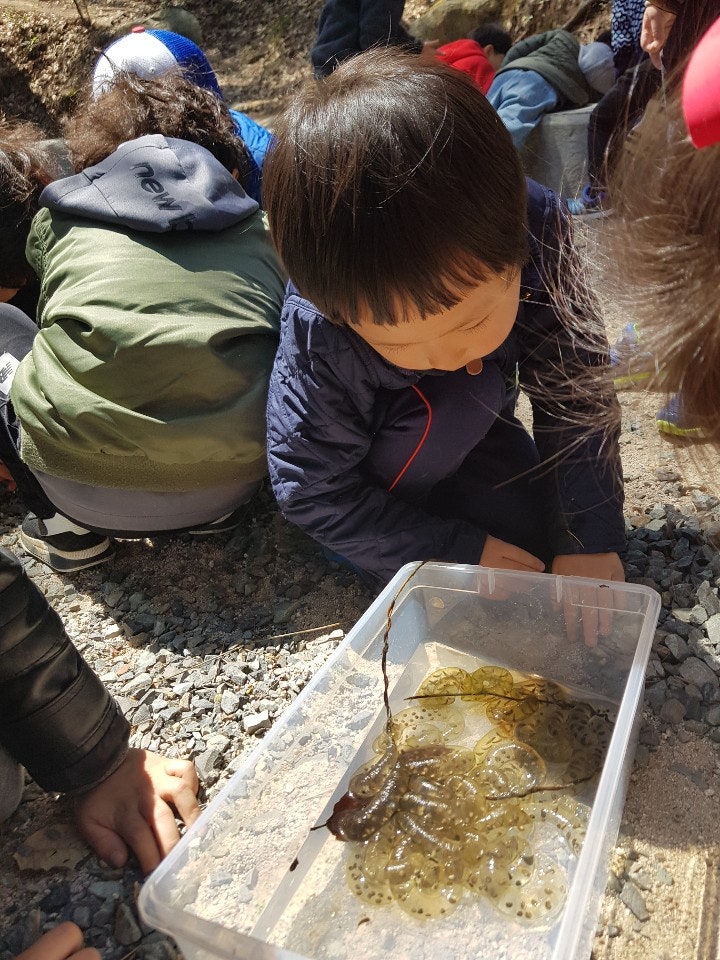 KakaoTalk_20190402_220306293_06.jpg?type=w740