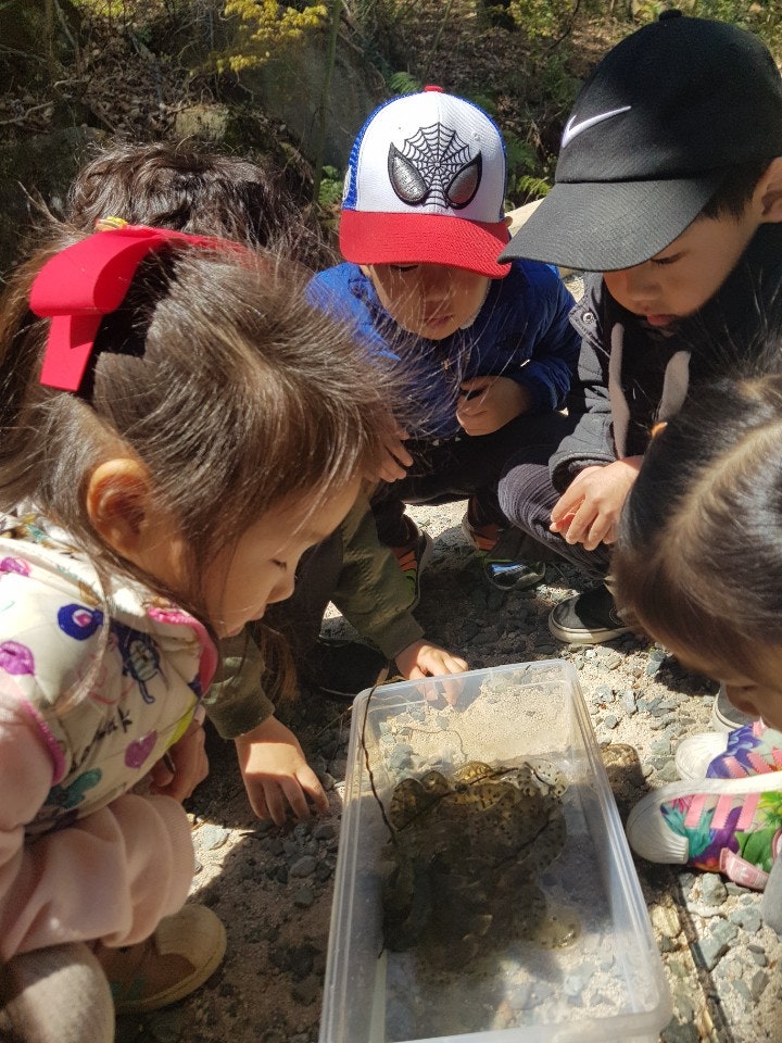 KakaoTalk_20190402_224223425_04.jpg?type=w740