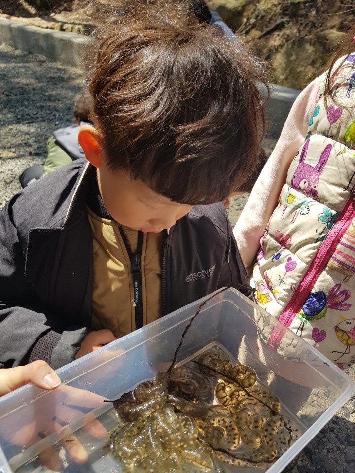 KakaoTalk_20190402_224223425_03.jpg?type=w740