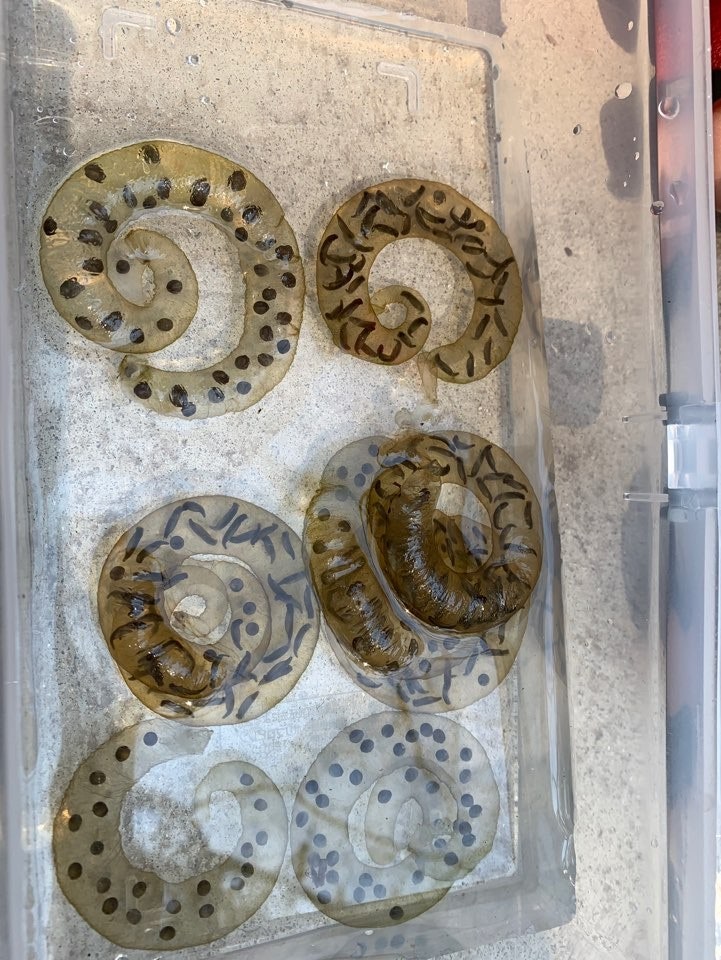 KakaoTalk_20190402_224223425_01.jpg?type=w740