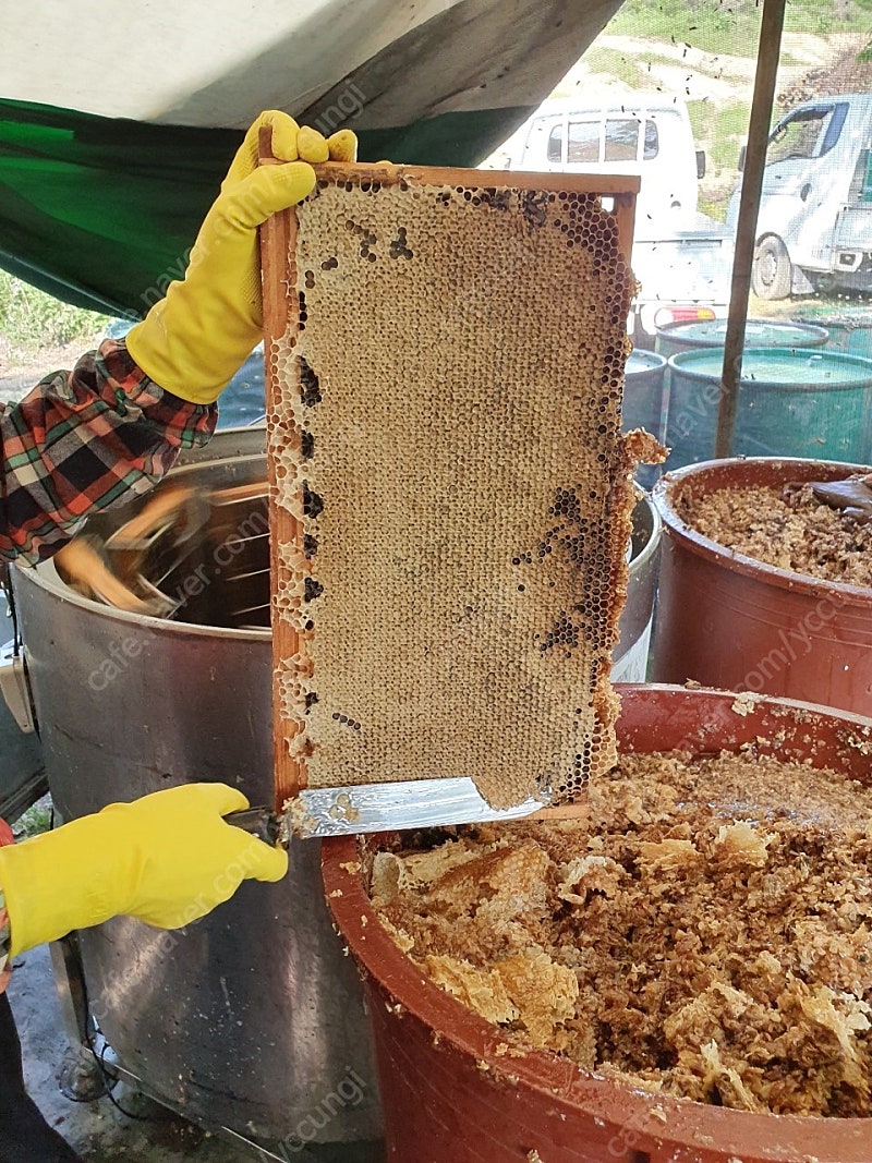 산청식품소분 이미지