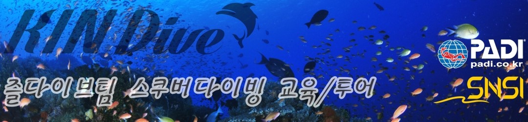 즐다이브 KIN DIVE ★  PADI & SNSI 스킨 스쿠버다이빙