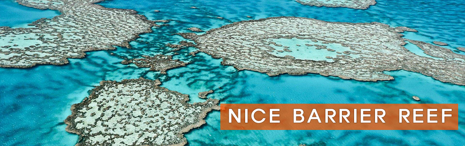 Nice Barrier Reef - ׸()