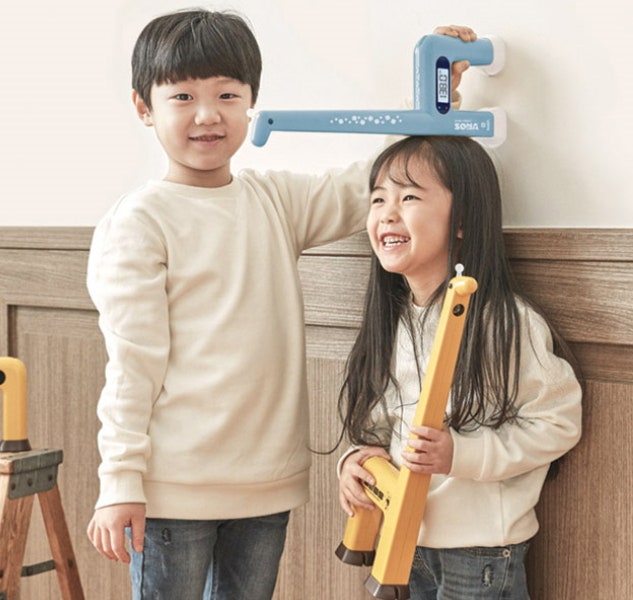 소나주 이미지