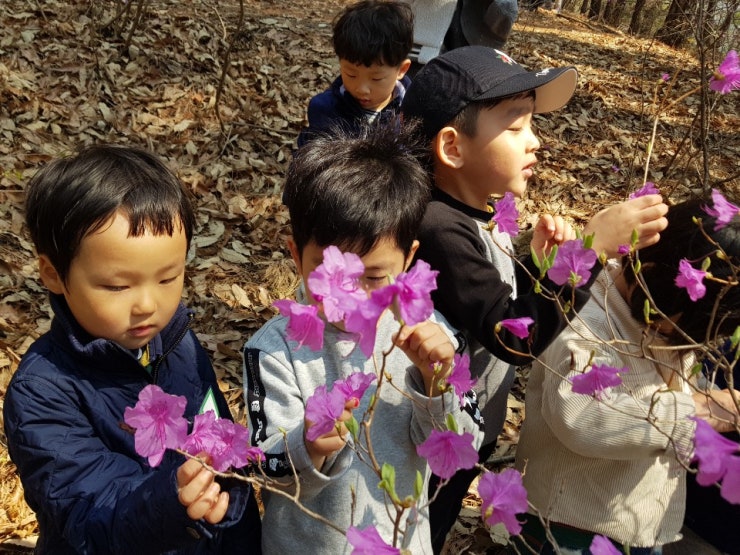 KakaoTalk_20190322_143140556_16.jpg?type=w740