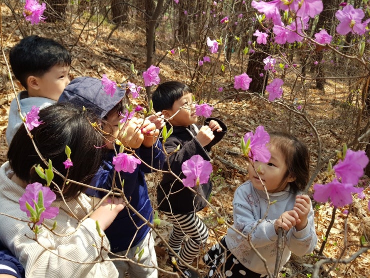 KakaoTalk_20190322_143140556_18.jpg?type=w740