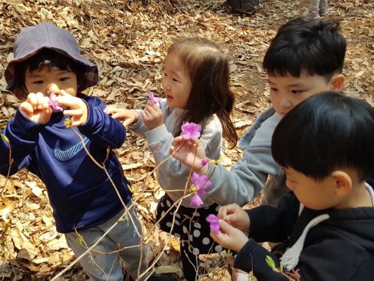KakaoTalk_20190322_143140556_29.jpg?type=w740