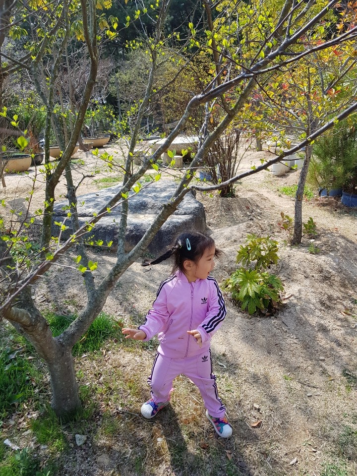 KakaoTalk_20190329_053146084.jpg?type=w740