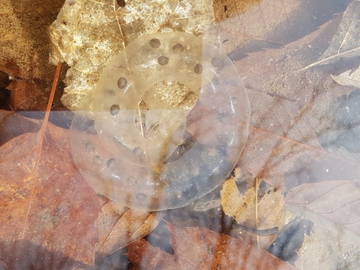 KakaoTalk_20190309_155716916.jpg?type=w7