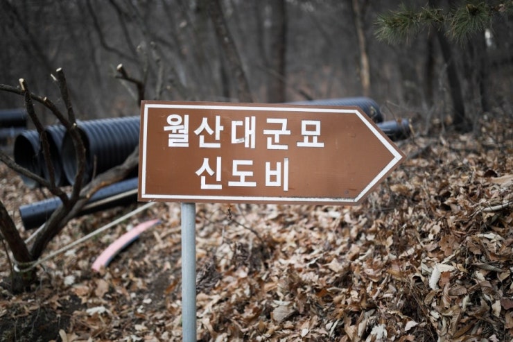 월산훈련소 이미지
