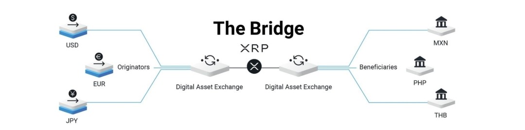 XRP Long Term Investor  