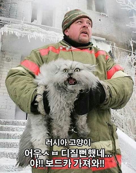피식 이미지
