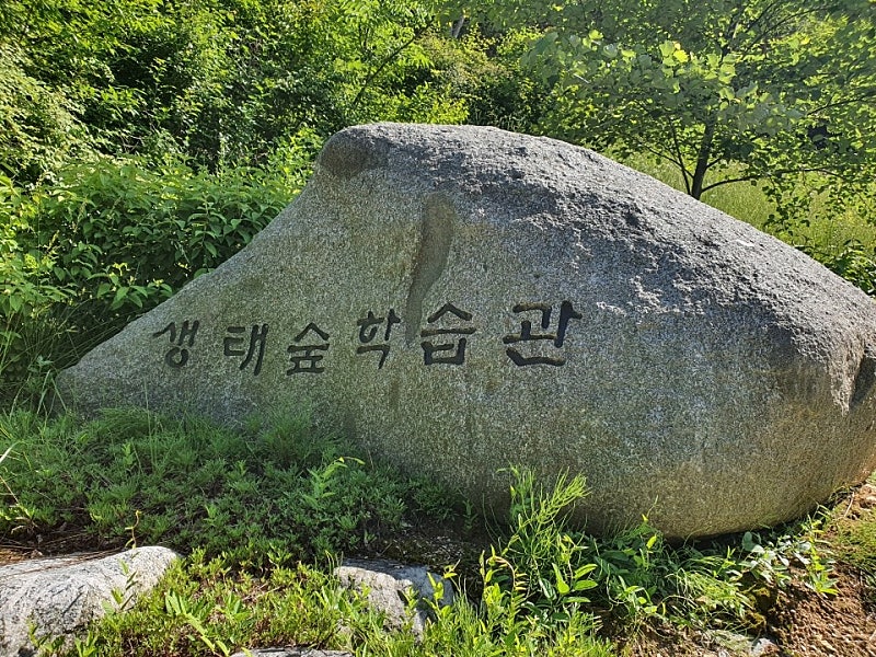 체험을더하다 이미지