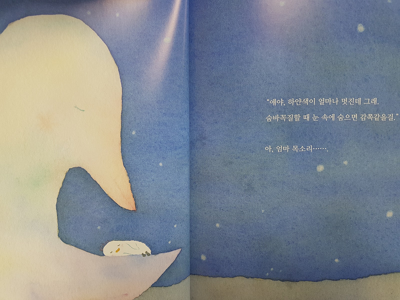 KakaoTalk_20200810_141544348_03.jpg
