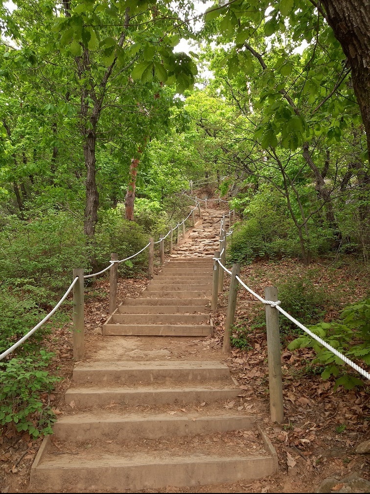 조선면옥 이미지