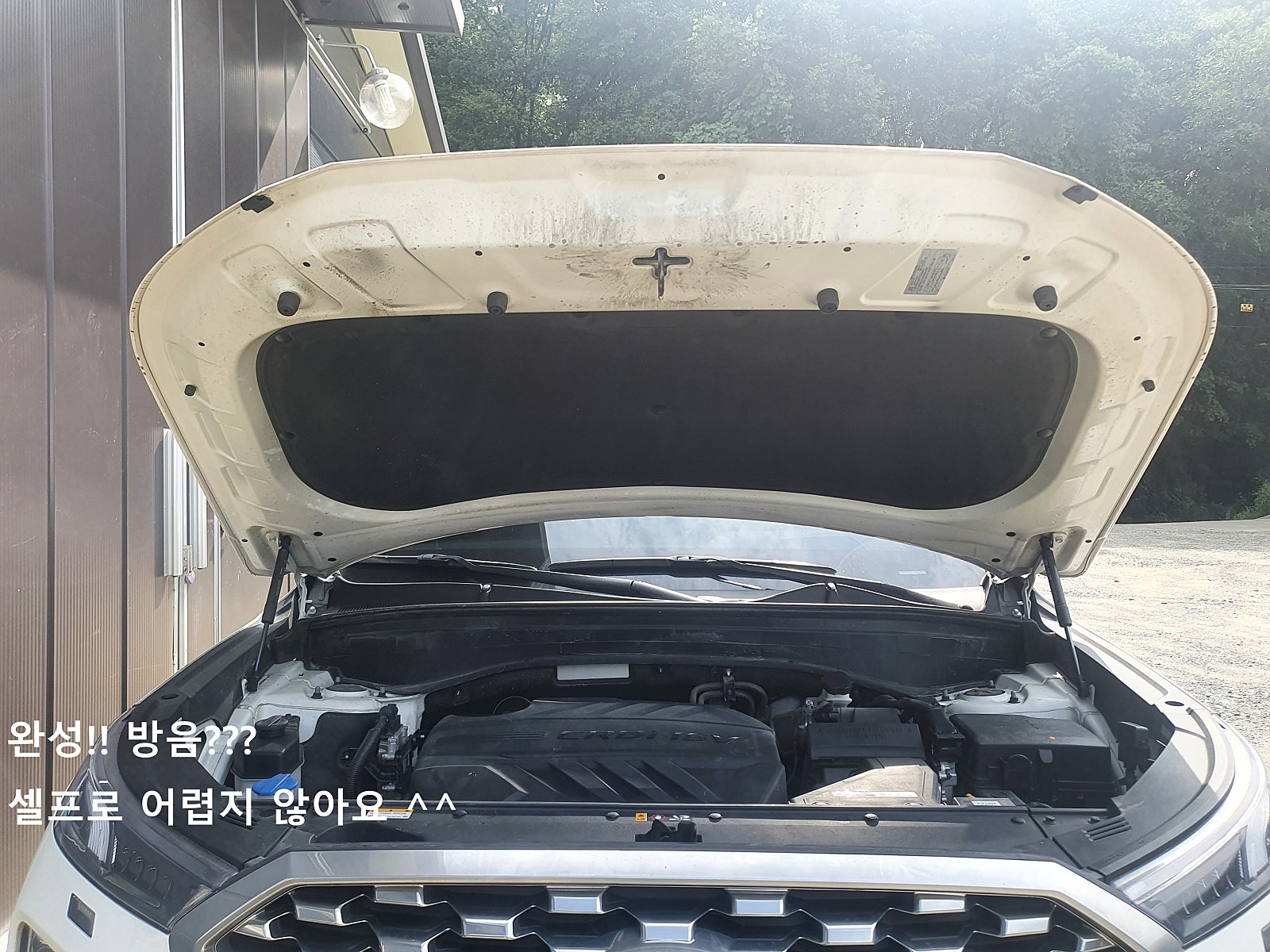 에어트렁크 이미지