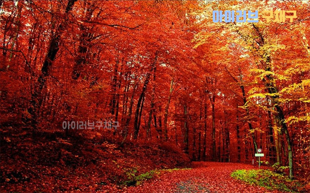 (주) 향산관광 이미지