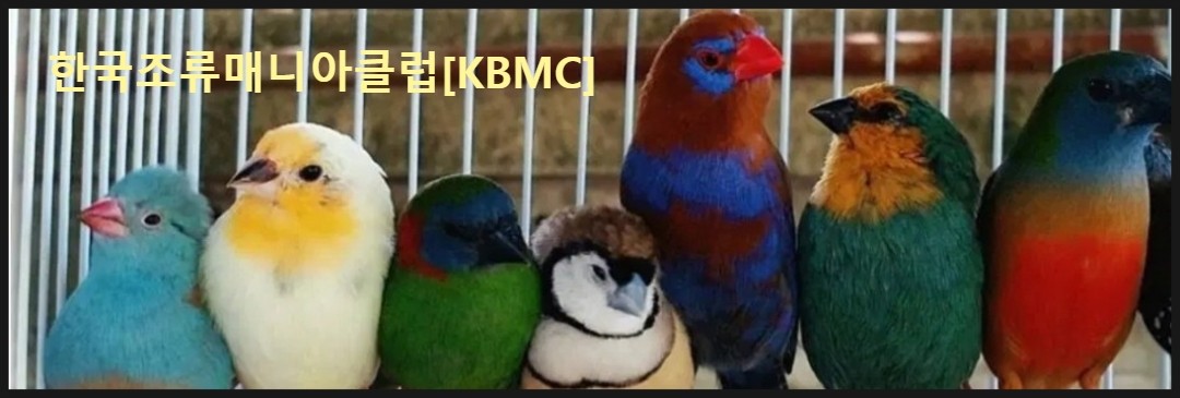 ѱŴϾŬ[Korea Bird Mania Club]