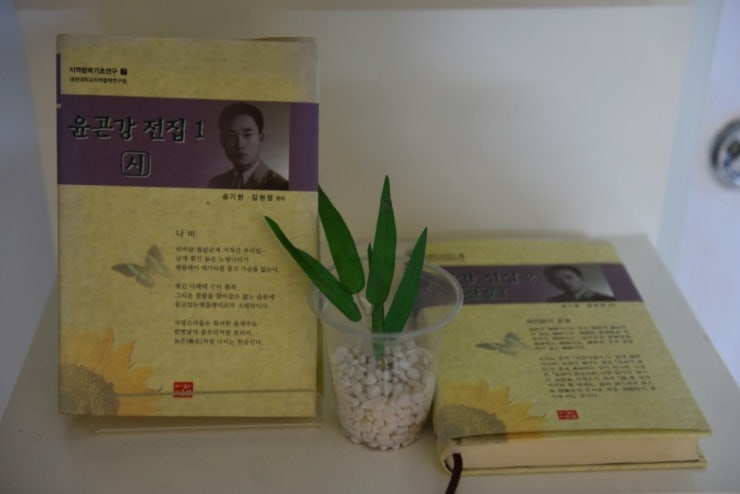 혜화1937 이미지