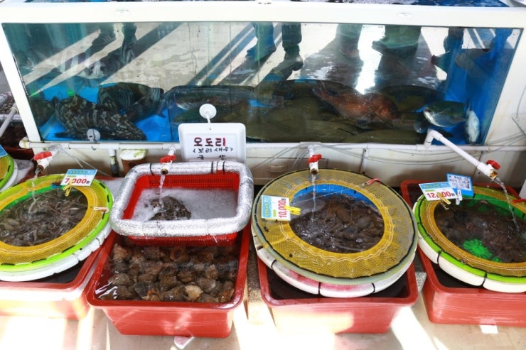 정이수산 이미지