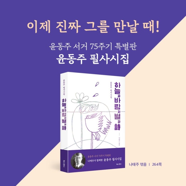 하늘컴퍼니 이미지