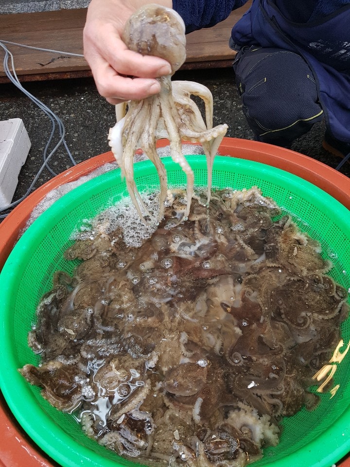 목포서해수산 이미지