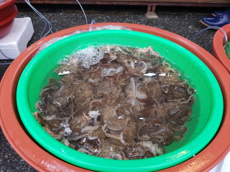 목포서해수산 이미지