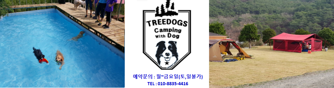 Ʈ(Treedogs)
