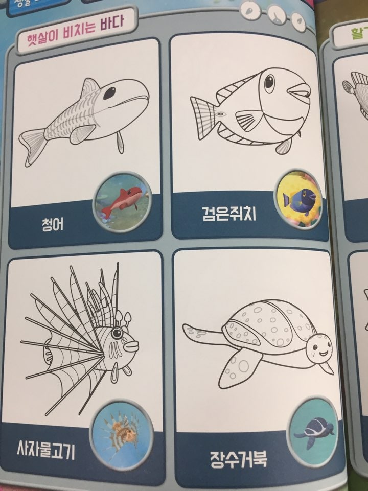 고래상어 색칠하기놀이