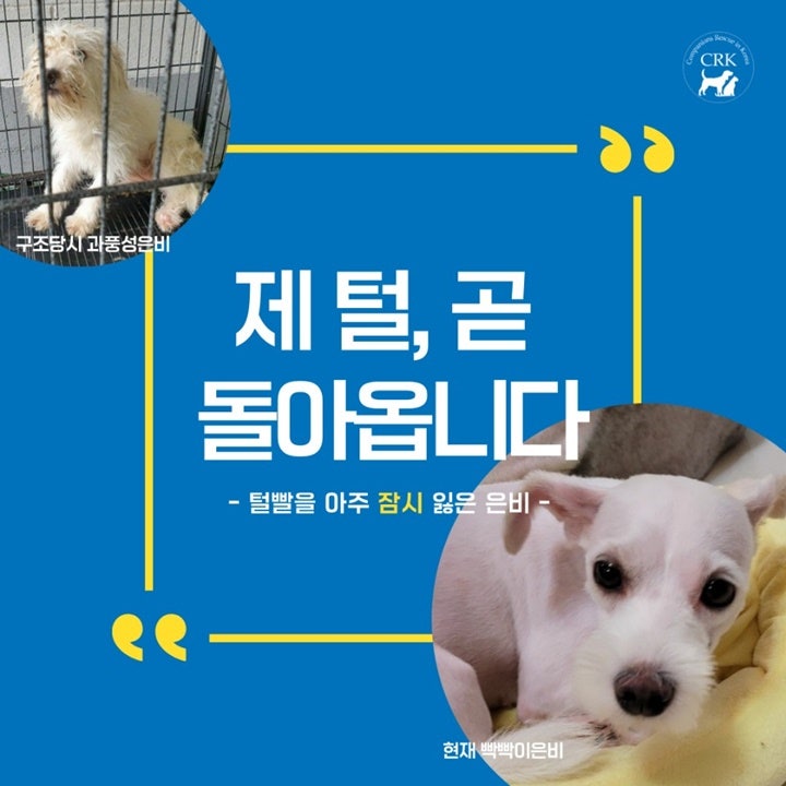 헬로!은비 이미지