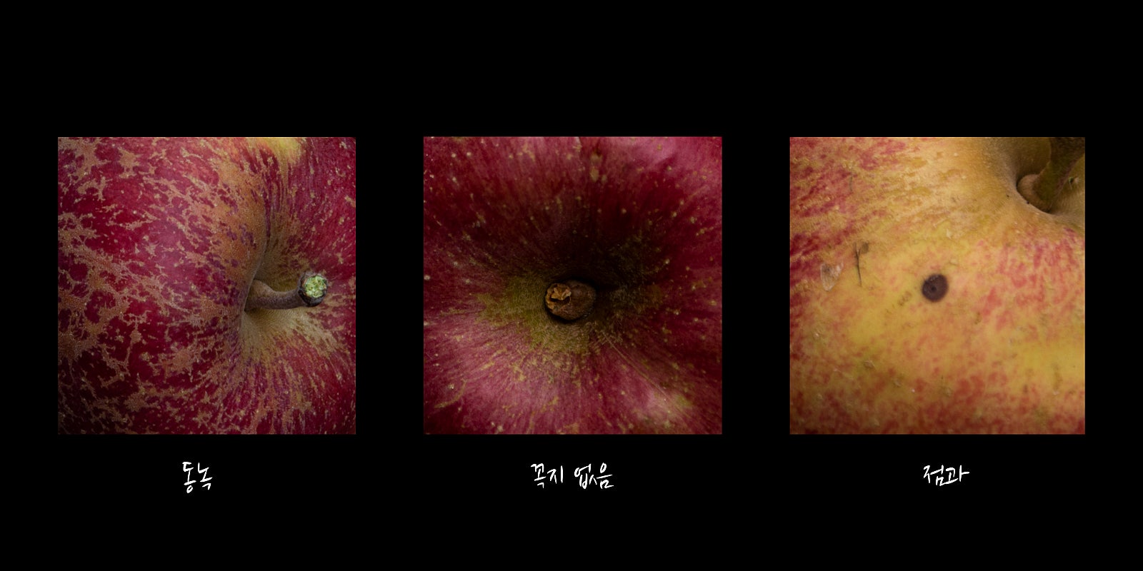나린이네 사과 이미지