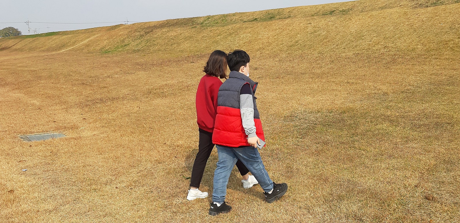 농업회사법인(주)더드림 이미지