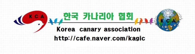 한국 카나리아 협회 (Kca,,,  korea canary association)