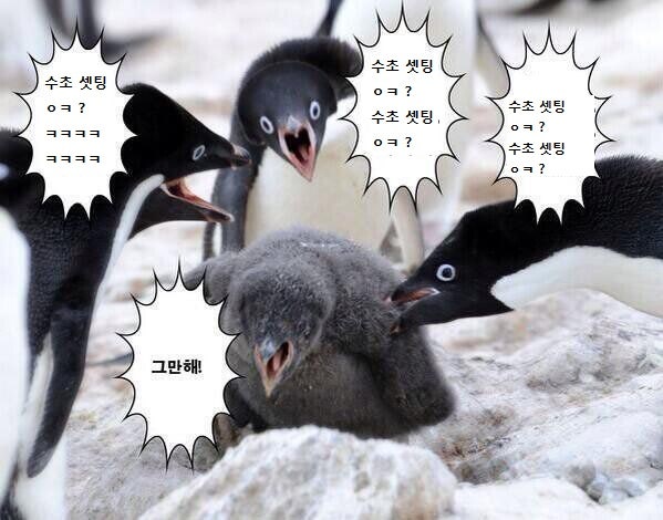 화 이미지