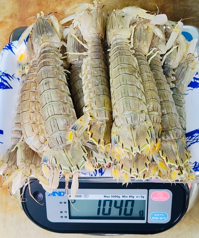 갯가재_1.jpg