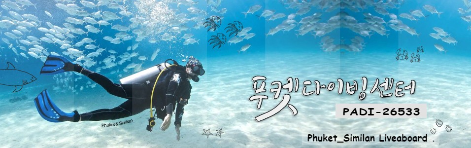 푸켓다이빙센터 (Phuket Diving Center)