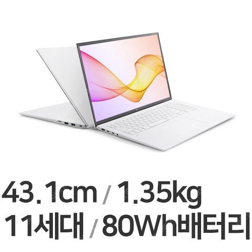 LG전자 2021 그램 17ZD90P-GX76K 16GB [삽니다]