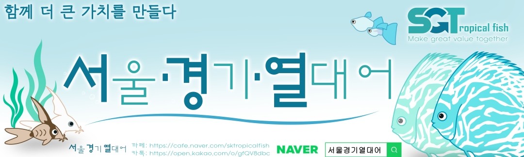 서울경기열대어(구피,베타,안시,코리,금어,새우,디커,플레코)