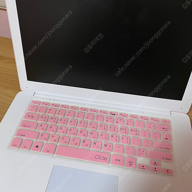 디클 클릭북 D141 분홍색