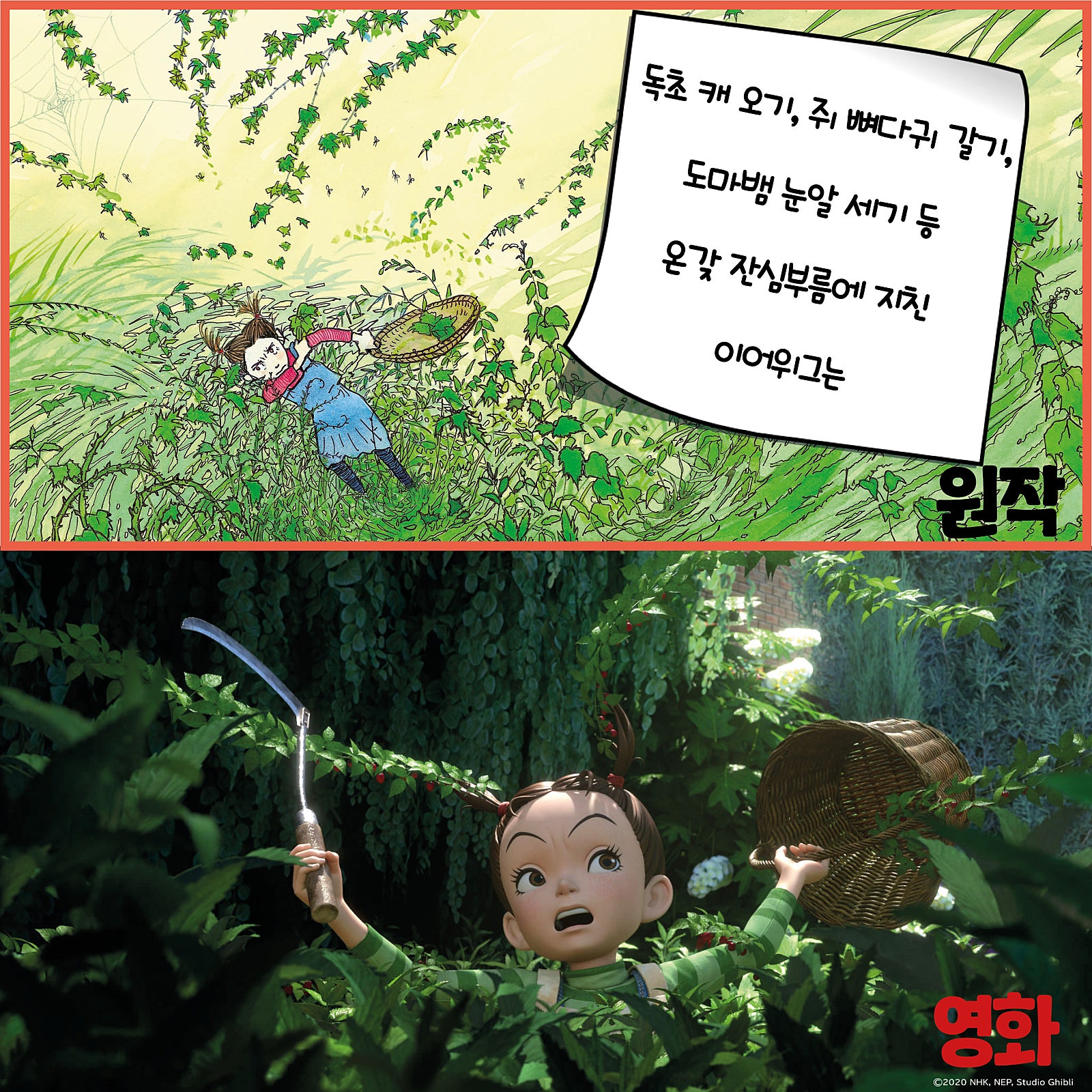 마녀세상 이미지