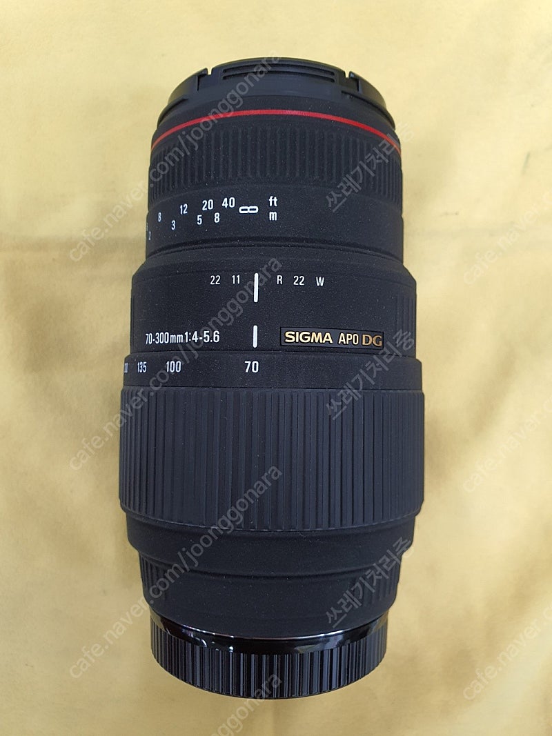 시그마 70-300mm F4-5.6 APO DG 간이 MACRO 기능까지 소니 A마운트 렌즈 헝그리 망원