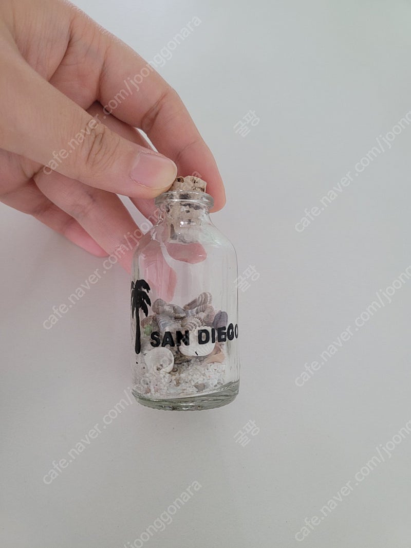 괌, 샌디에고 기념품--1