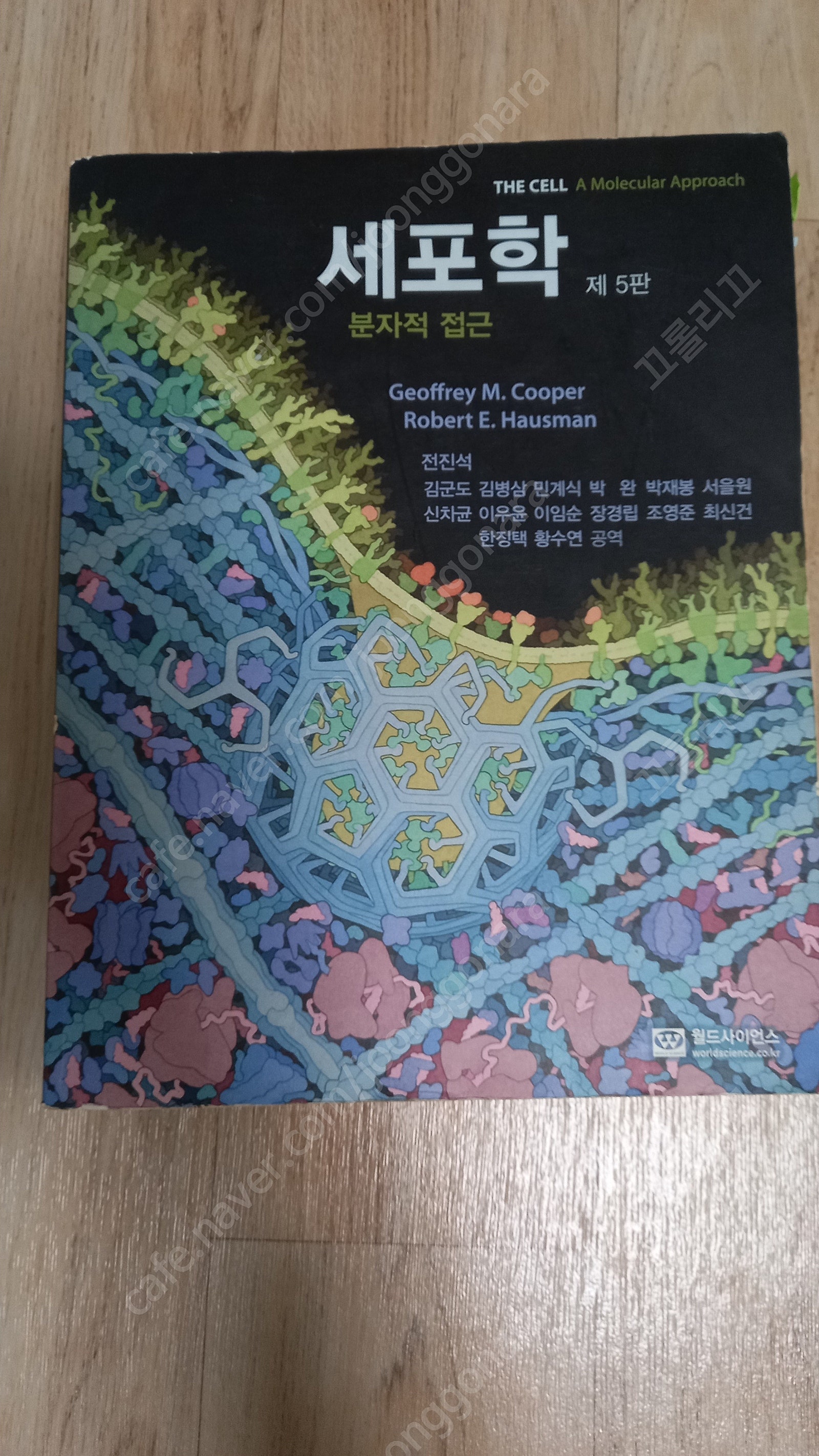 유기화학/일반화학/고분자/식품미생물학/마케팅 전략/소비...--3