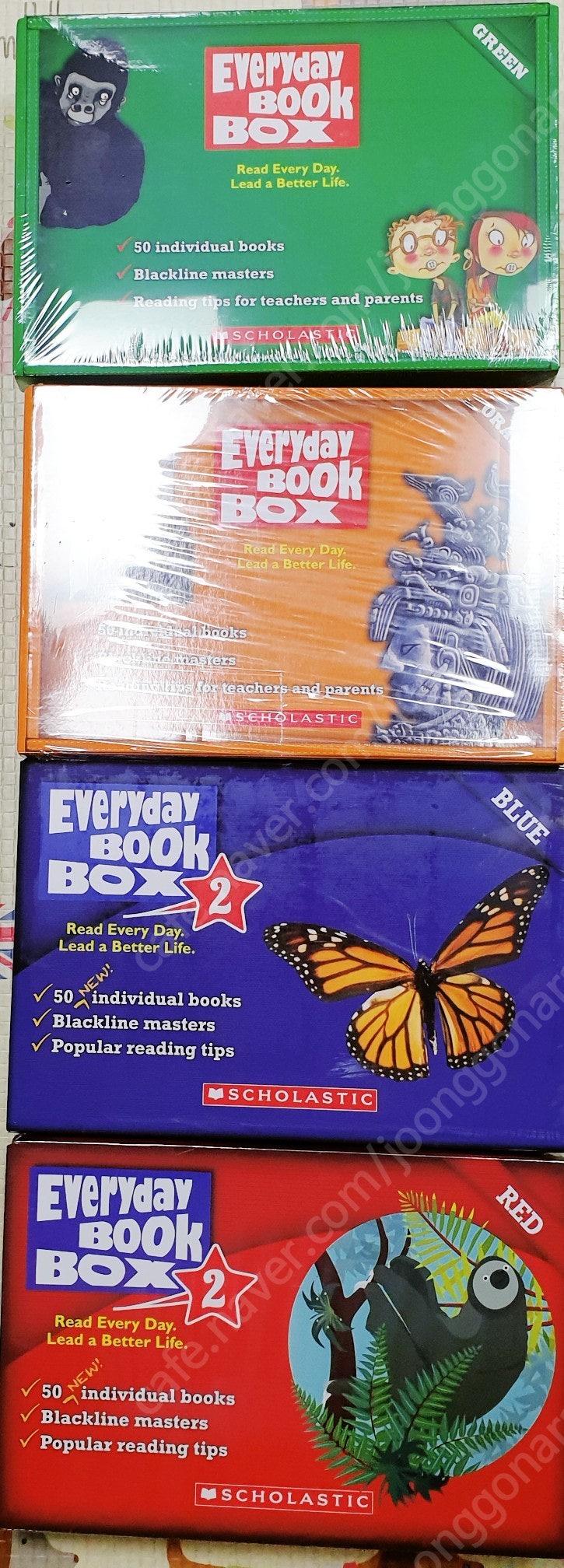 스콜라스틱 영어책 scholastic everyday book box