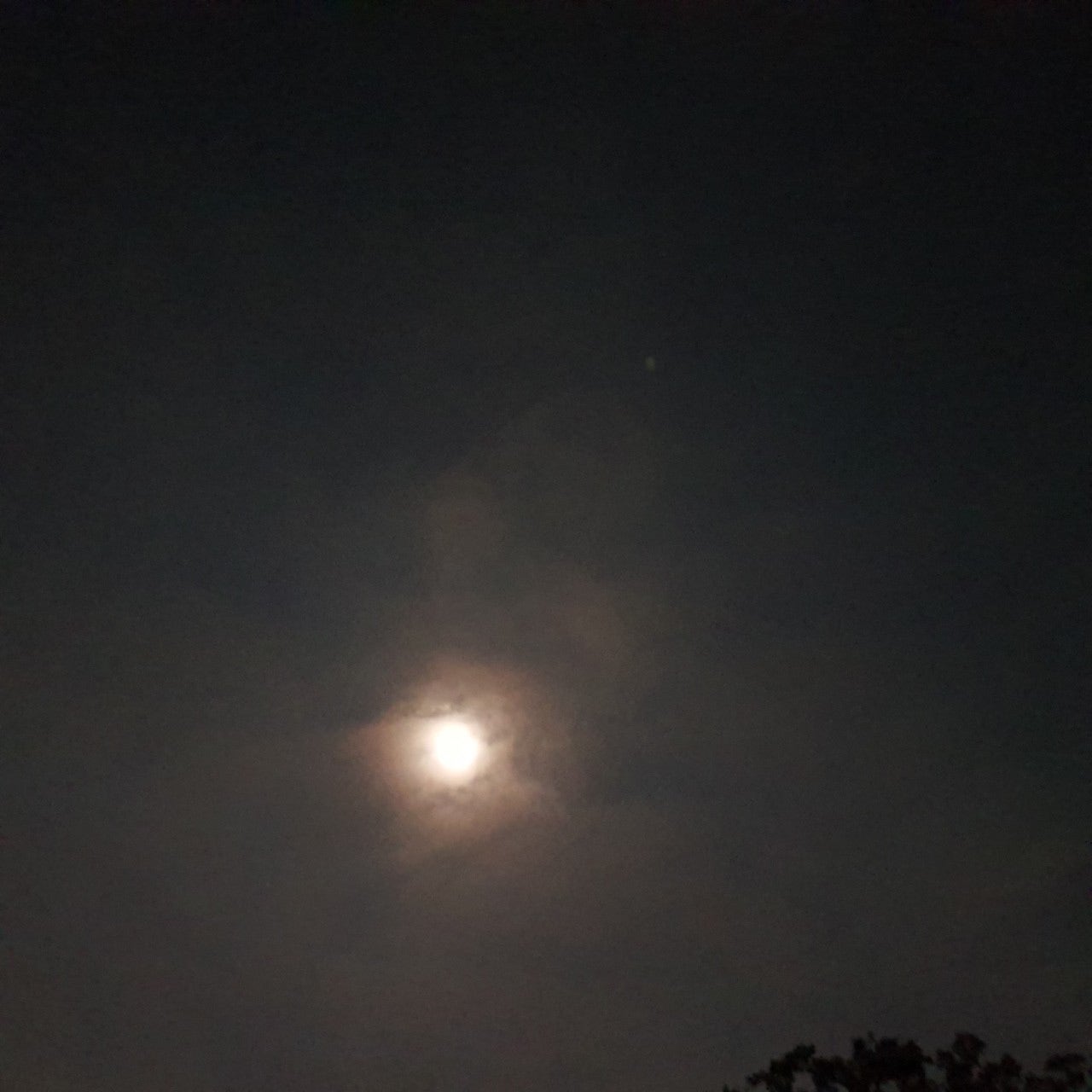 폴리캠핑 이미지