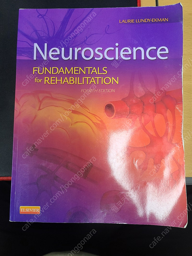 Neuroscience Fundamentals for Rehabilitation