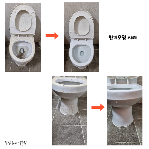 엘클린 이미지