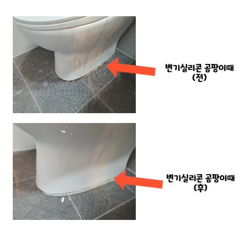 엘클린 이미지