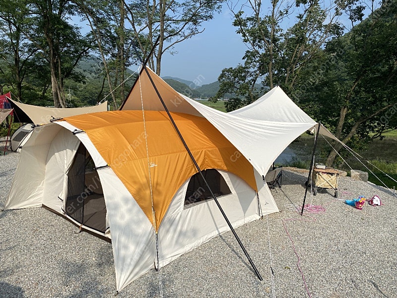 오크돔M용 플라이 황금색 판매