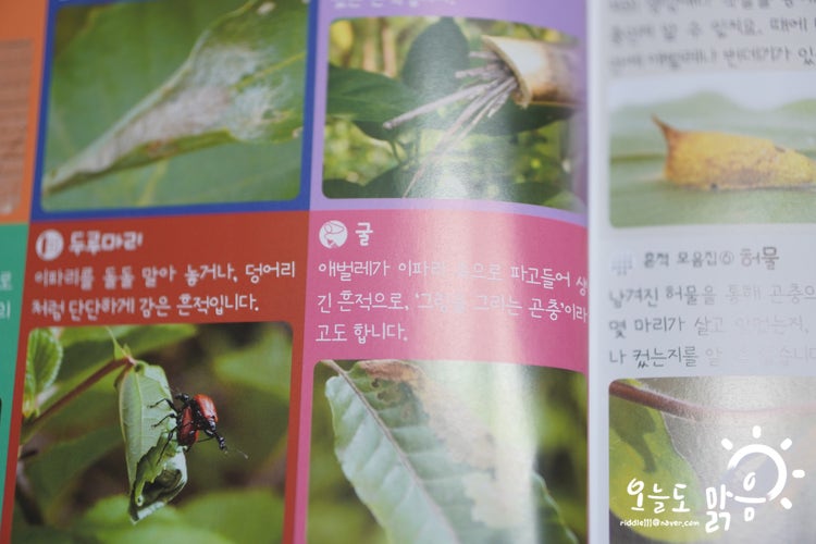 DSC07114.JPG